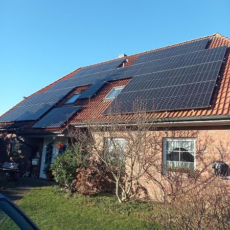 Haus Moewennest Διαμέρισμα Gelting Εξωτερικό φωτογραφία